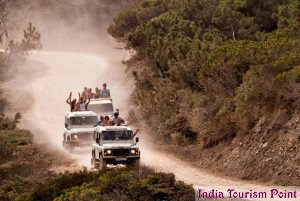 Jeep Safari Tourism Wallpapers